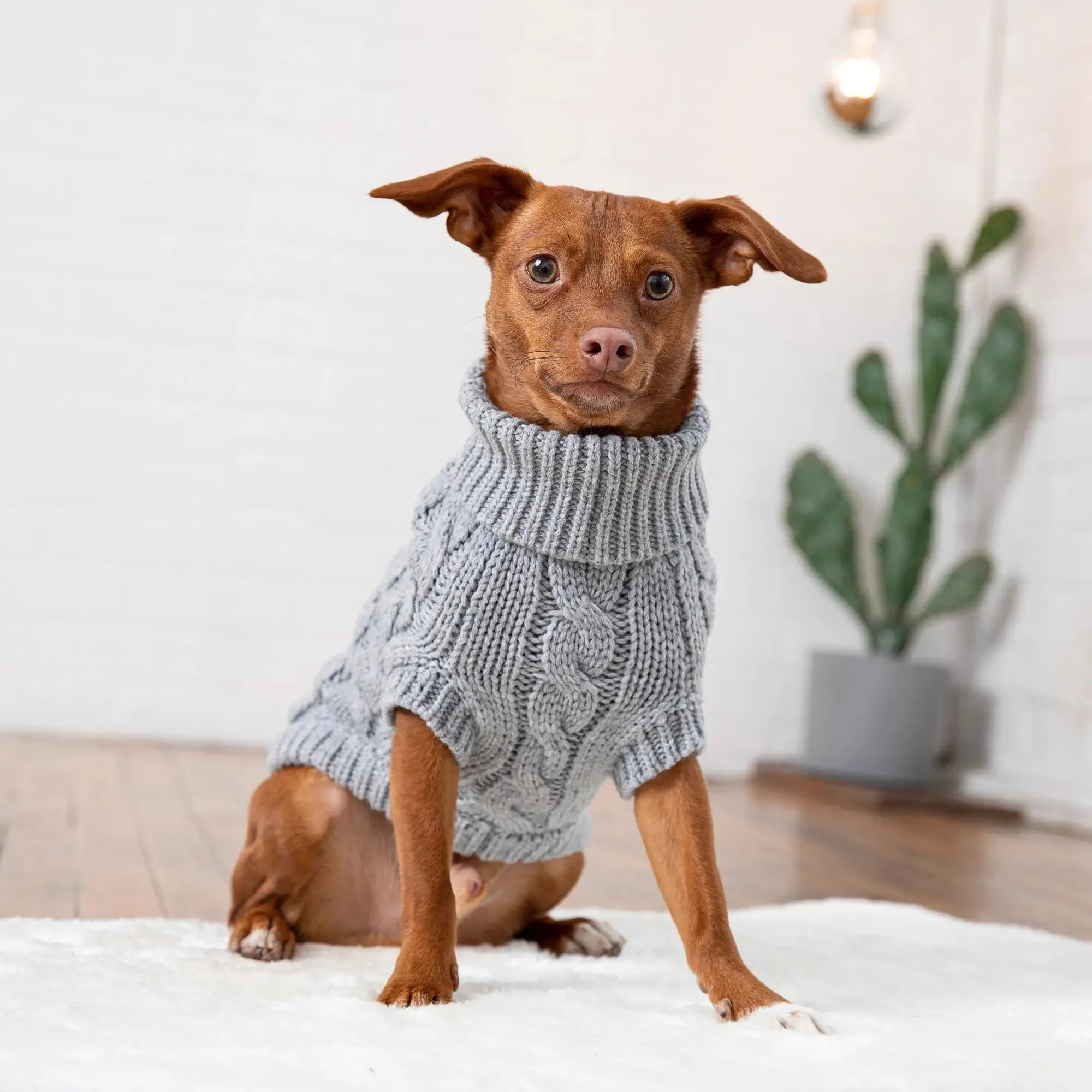 Chalet Dog Sweater | Grey Mix