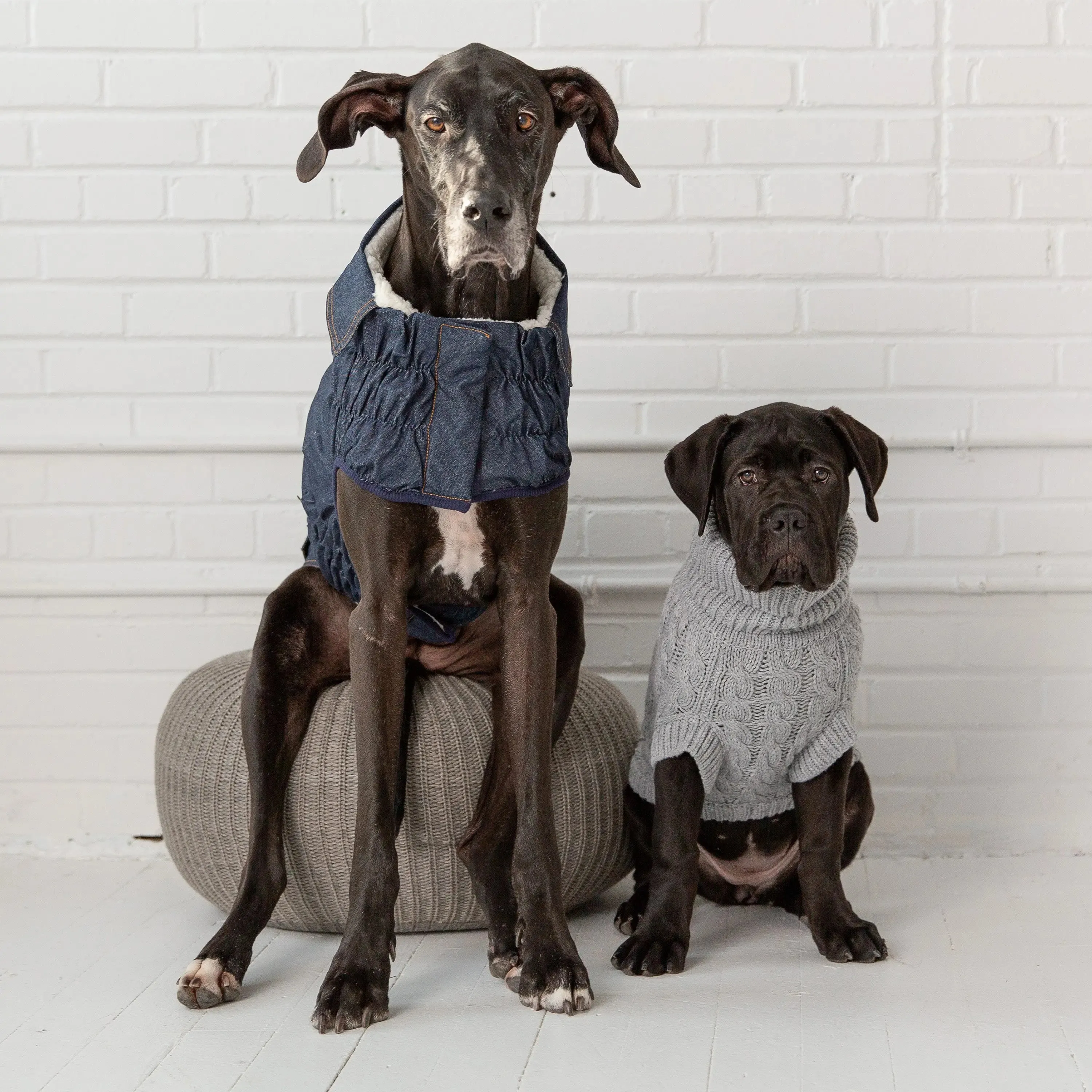 Chalet Dog Sweater | Grey Mix